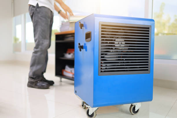 Best HVAC Mold Inspection and Cleaning  in Adams, WI