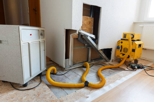 Best Attic Mold Removal  in Adams, WI